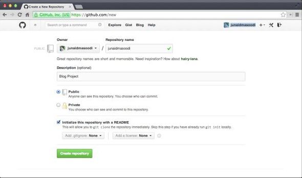 Create First Repository
